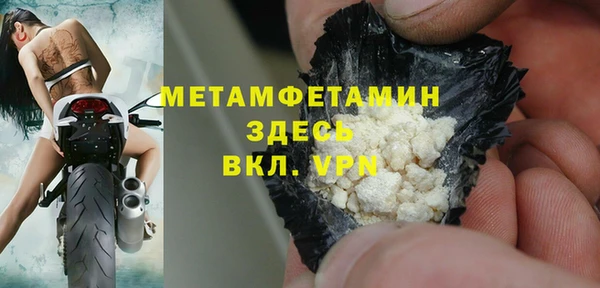 индика Ессентукская