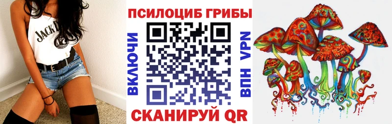 купить наркотик  Михайлов  Псилоцибиновые грибы Psilocybe 